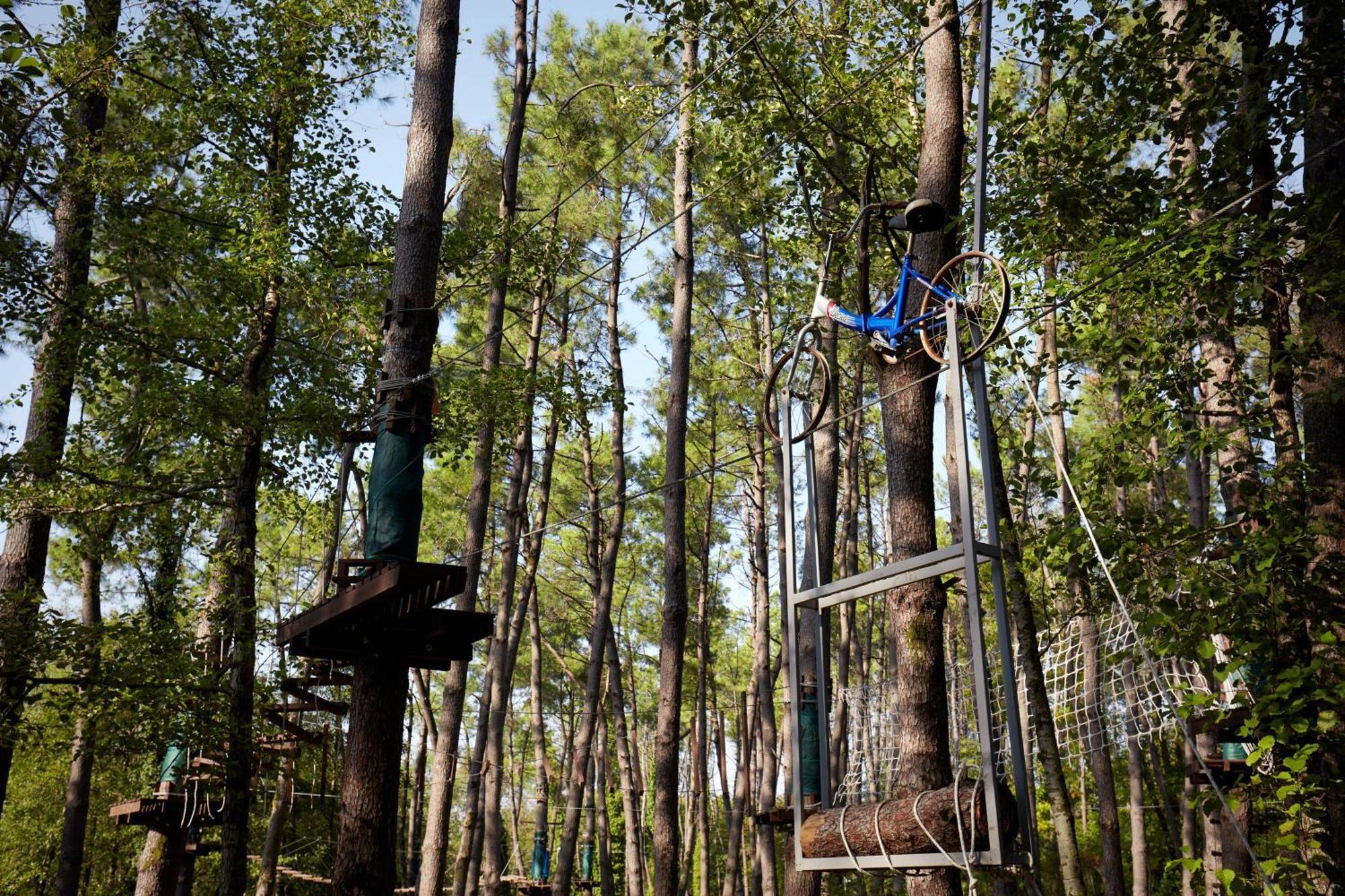 Paragraph Resort & Spa Shekvetili, Autograph Collection Exterior photo Adventure Park in the forest