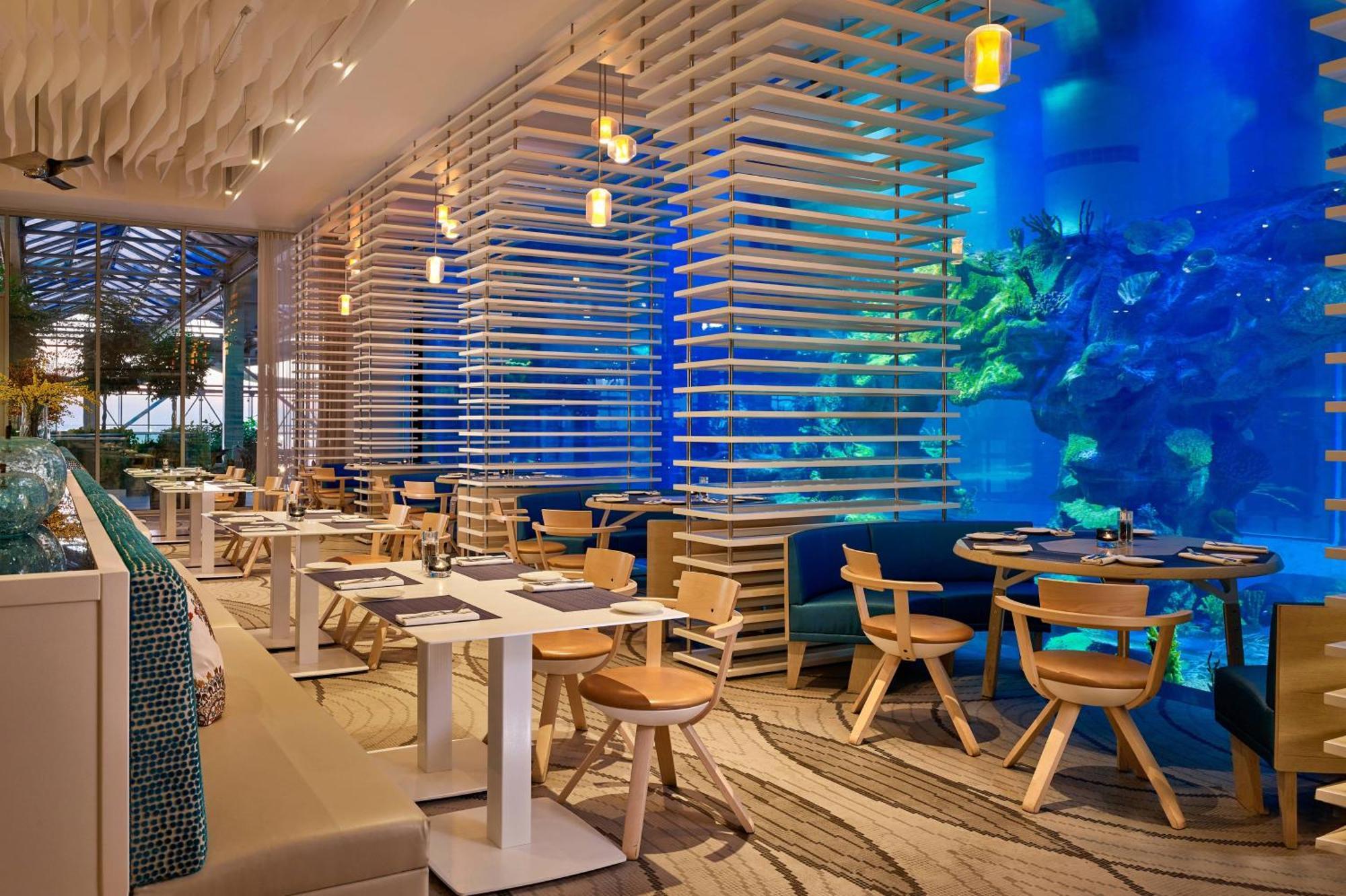Paragraph Resort & Spa Shekvetili, Autograph Collection Exterior photo The Lost Chambers Aquarium